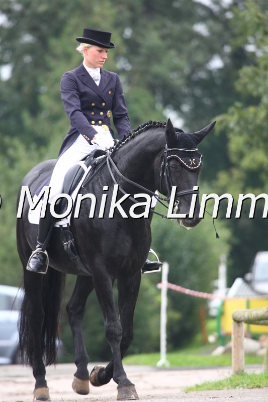 009M9310_Diamant-Wittinger_Dressur S_St. Georg.JPG